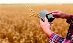 AgroSignal.FieldScouting